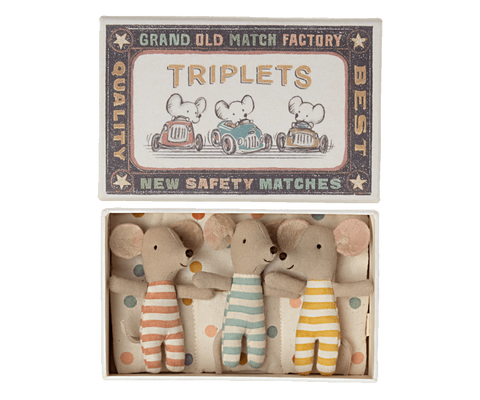 Triplets, Baby mice in matchbox